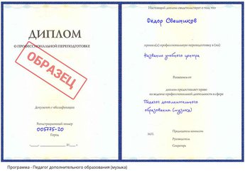 Проф. переподготовка Педагог дополнительного образования (музыка)