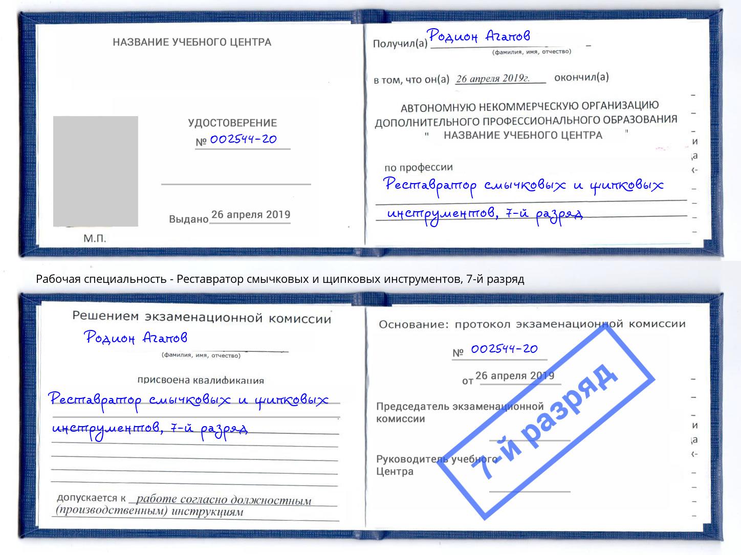 корочка 7-й разряд Реставратор смычковых и щипковых инструментов Тайшет